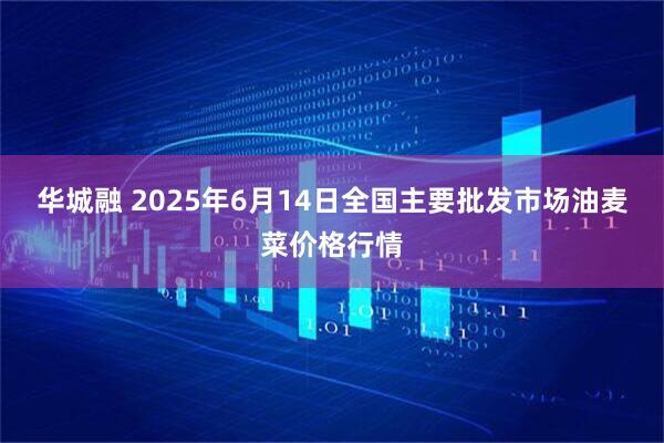 华城融 2025年6月14日全国主要批发市场油麦菜价格行情