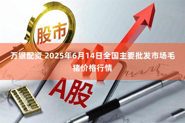 万银配资 2025年6月14日全国主要批发市场毛猪价格行情