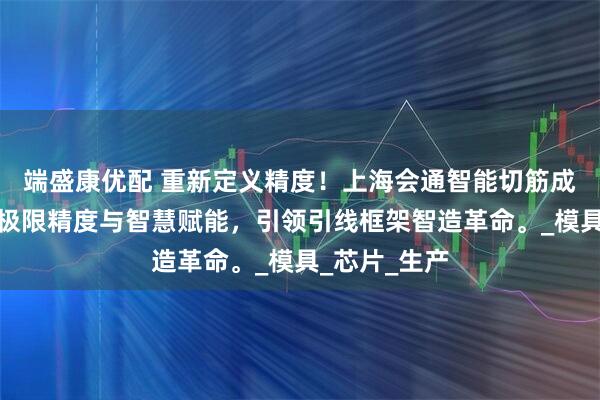端盛康优配 重新定义精度！上海会通智能切筋成型系统，以极限精度与智慧赋能，引领引线框架智造革命。_模具_芯片_生产